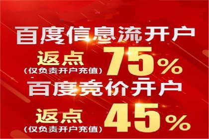 百度竞价排名策略：看这家公司如何逆袭